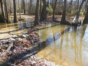 Primitive trail 002 opt